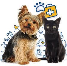 Maybe you would like to learn more about one of these? Emergency Pet Care Mercy Pet Clinic