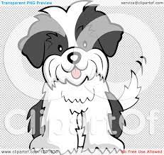 Cartoon Of A Cute Shih Tzu Puppy Dog Sitting And Wagging His Tail Royalty Free Vector Clipart By Cartoon Character Studio Shih Tzu Puppy Dog Sitting Shih Tzu