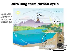 short & long term carbon cycle  carbon