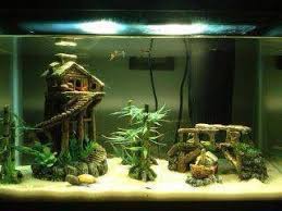 With all the plants, rocks, and figurines to pick from, you can truly make your aquarium unique. Kyra Kyrarisley Profile Pinterest