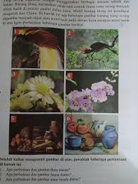 Araminta (yunani) artinya bunga 60. Apa Nama Bunga No 3 Dan 4 Brainly Co Id