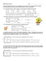 Spongebob is heterozygous for his square shape, but sponge susie is round. Nicolle Leite Lujan De Andrade Spongebob Genetics 1 Genotype Dominance Genetics