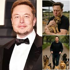 Alec Baldwin Calls Elon Musk a “SCUMBAG”