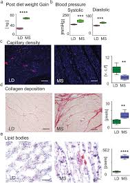 The miniature pug will have a lot of adventures with you and your friends in a world full of colors and puzzles. Metabolomics And The Pig Model Reveal Aberrant Cardiac Energy Metabolism In Metabolic Syndrome Scientific Reports