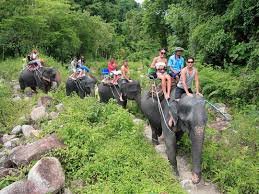 Tourisme Et Balade A Dos D Elephants On Continue Ou On Arrete