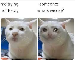 Crying Laughing 2020 Hayvan Viralleri Komik Internet Fenomenleri Komik Seyler