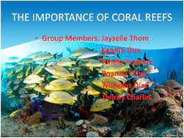 Coral reefs facilitate tourism and job opportunities • ecotourismis a major part of many local economies. Ppt The Importance Of Coral Reefs Powerpoint Presentation Free Download Id 2055141