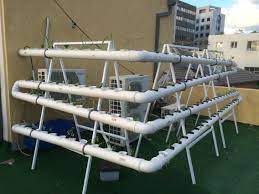 Decorative Nft Hydroponic System Hydroponics System Hydroponics Hydroponic Gardening