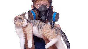 We have a wide selection of cat odor eliminators including sprays, powders, shampoos, stain removers and more to help keep your home free of cat. What Does It Smell Like When A Cat Sprays Cease Cat Spraying