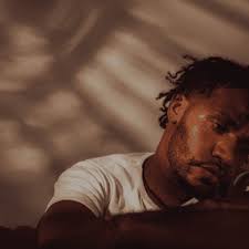 Jean Ely Telfort et le Ska Shah Number one ont fait carton plein au Parc  Aimé Césaire