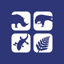 Logo mohamedbinzayedfund
