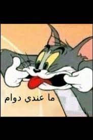 ما في دوام funny phrases really funny memes funny arabic quotes