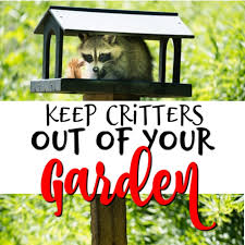 Now that you know how to protect your garden, consider protecting your property. Tools For Keeping Critters Out Of Your Garden