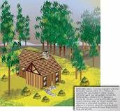 Image result for why do fuel treatment zones need to be 1320 feet wide