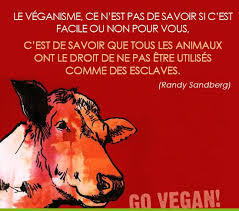 Epingle Sur Vegetarisme Et Vegetalisme