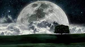 Moonshot Was The Name For The Apollo 11 Mission To Land On The Moon The Mission Was Piloted By Neil Armstrong Who Was The Beautiful Moon Beautiful Nature Moon