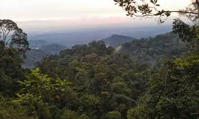 Gunung pulai (mount pulai) noktasına 0,3 km mesafede. A Guide To Gunung Pulai The Best Hiking Trail In Jb