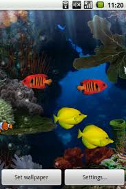 Live wallpapers for download, free wallpapers for android. Aquarium Live Wallpaper Apk For Android Download
