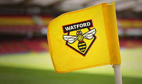 The hornets gave fans the opportunity to redesign the club's crest for next season. Watford Fc Lee Scott Brand Identity Specialist