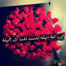 إذا كنت تريد تحويل الصورة الى شفافة بدون خلفية أون لاين، فسنتعرف في هذا الموضوع إن شاء الله على أفضل موقع ازالة خلفية الصورة بدون فوتوشوب أو أي برامج فقط قم بتحميل الصورة وانتظر لثوان لتقوم بإزالة الخلفية من الصورة. Ø®Ù„ÙÙŠØ§Øª ÙˆØ±ÙˆØ¯ Ù…ÙƒØªÙˆØ¨ Ø¹Ù„ÙŠÙ‡Ø§ ÙƒÙ„Ø§Ù… ØªÙØ§Ø¦Ù„ 2014 ØµÙˆØ± ÙˆØ±ÙˆØ¯ Ù…ÙƒØªÙˆØ¨ Ø¹Ù„ÙŠÙ‡Ø§ Ø¹Ø¨Ø§Ø±Ø§Øª Ø­Ù„ÙˆØ© 2014