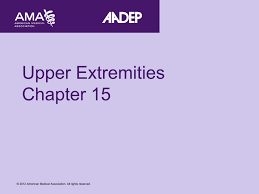 Upper Extremities Chapter 15 American Academy Of Disability