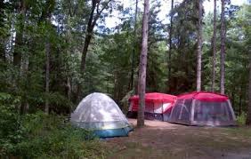 Find your private vacation and cottage rentals in turkey point, southwestern ontario, ontario, canada. Turkey Point Provincial Park Turkey Point Ticket Price Timings Address Triphobo