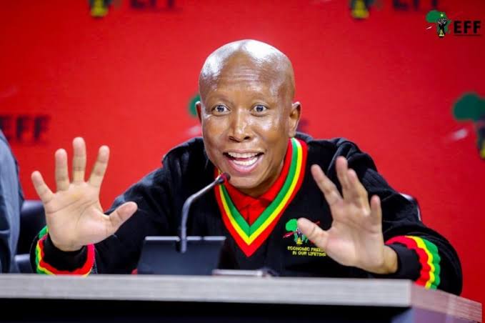 Opinion: Social worker's role in Malema's survival at pre-sentence  proceedings - SABC News - Breaking news, special reports, world, business,  sport coverage of all South African current events. Africa's news leader.
