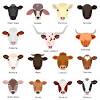 Home » brahman cattle for sale. Https Encrypted Tbn0 Gstatic Com Images Q Tbn And9gcsjw0i7taxpk Ssfb3j2 Bbitt55kgtdckxeklsgcxaeyfgyyja Usqp Cau