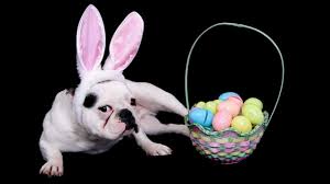 Do you know the secrets of sewing? Easter Trivia Fun Facts