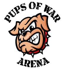 Originating from the puget sound area of washington state in the year 2000, foam wars now includes numerous local groups in a number of states. Hawaii Foam Dart War Parties Your Nerf Guns Or Ours