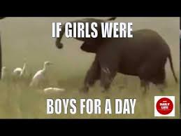 Meme If Girls Were Boys For A Day Youtube In 2020 Memes Why Meme Boys