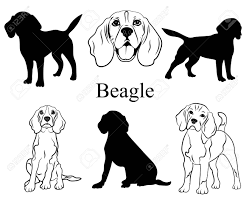 Black outline silhouette of german shepherd dog standig sideway. Beagle Set Collection Of Pedigree Dogs Black White Illustration Of A Beagle Dog Vector Drawing Of A Pet Tattoo Royalty Free Cliparts Vectors And Stock Illustration Image 130641325