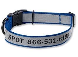 Product Review Personalized Dog Collar By Orvis Dogtime