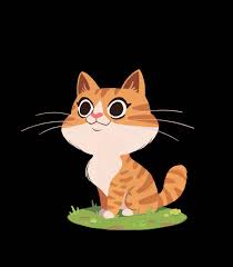 Fred Bernardo (@fred_bernardo) • Instagram photos and videos