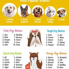 Top Dog Names Of This Year Dog Names Top Dog Names Best Dog Names