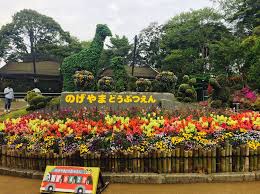 横浜でお金を使わないデートプラン 無料の 野毛山動物園 で動物とふれあい ハマスタで野球応援 Playlife プレイライフ