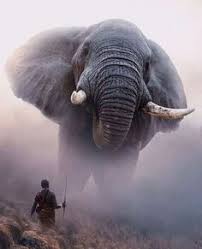 Premiere rush est un logiciel de montage vidéo , petit frère d'adobe premiere. 30 Idees De Mockups En 2020 Ressources Etiquettes De Biere Mockup Carte De Visite