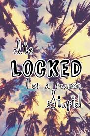 It's locked for a reason wallpaper. It S Locked For A Reason Stupid Funny Phone Wallpaper Phone Lock Screen Wallpaper Locked Wallpaper