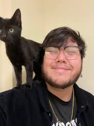 Seems like a cool trend. Roast me and my commanders👀