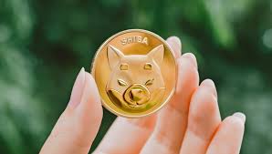 But will shib coin ever reach. Shiba Inu Coin And Dogecoin Price Prediction Price Action Looking Increasingly Bearish For Shib Usd And Doge Usd Forex News By Fx Leaders