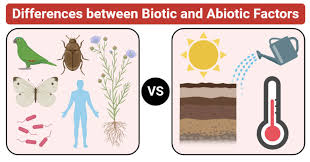 Biotic Vs Abiotic Factors Definition 10 Major Differences Examples