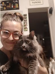 Cat found in Delaware tonight