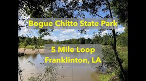 Upload photos view 6 photos. Bogue Chitto State Park Trails In Louisiana Near Youtube