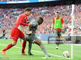 1,011 Agard Stock Photos, High-Res Pictures, and Images