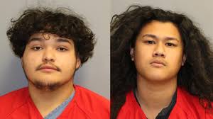 Teenager pleads guilty to murdering Jerome man as part of agreement