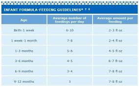 similac feeding chart pdf best picture of chart anyimage org