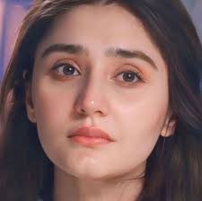 haseen Musibatein (+ + Bhabhi) (incest special) (romance special)