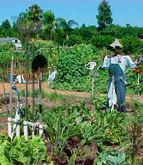 Bucket floating faucet fountain hunker water outdoor features solar. Repurposing Household Throwaways Into New Garden Tools Gardening In La
