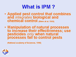 Steinbach then canceled his pest service contract with terminix. Integrated Pest Management Keeping The I In Ipm