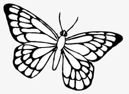 This one is sure to make kids go crazy with their colors. Butterfly Coloring Pages Hd Png Download Kindpng